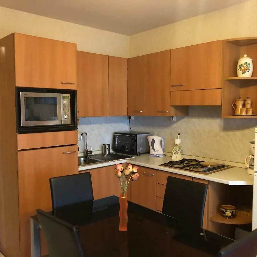 Le Vina Del Mar Bloc B Daire Menton